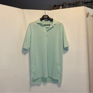 Turtleson Lane Men's Green Striped Polo Shirt